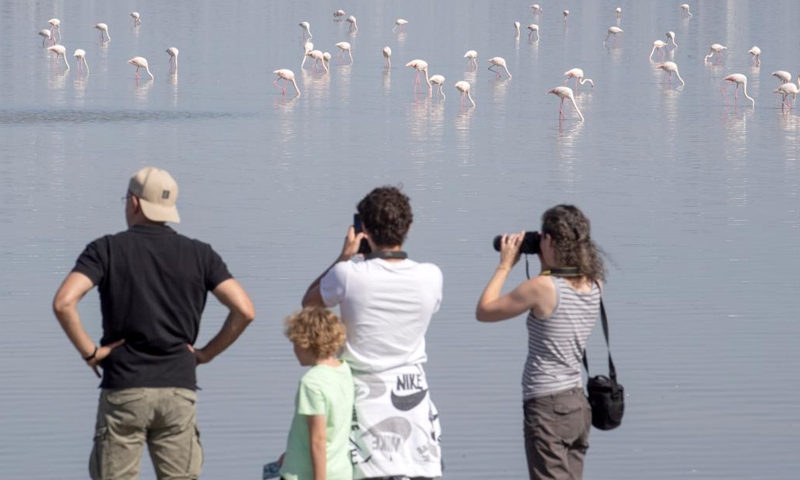 People watch flamingos by Larnaca Salt Lake, Cyprus, Oct. 24, 2022.(Photo: Xinhua)