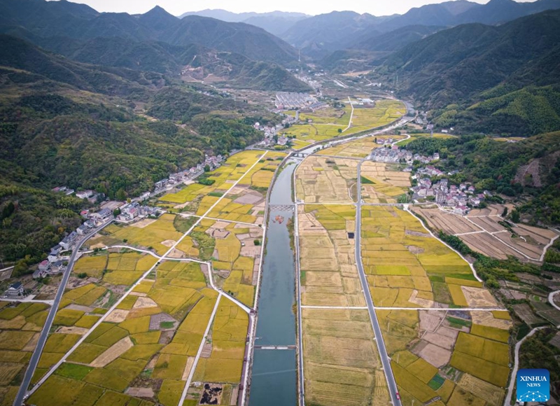This aerial photo taken on Oct. 26, 2022 shows a view of the paddy fields at Sandu Town in Jiande, east China's Zhejiang Province. (Xinhua/Jiang Han)