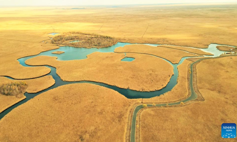 View of Zhalong National Nature Reserve in northeast China Global Times