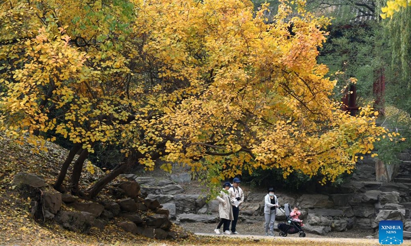 This photo taken on Oct. 26, 2022 shows the autumn scenery at the Yuanmingyuan Park, or the Old Summer Palace, in Beijing, capital of China.(Photo: Xinhua)