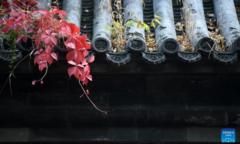 This photo taken on Oct. 26, 2022 shows the autumn scenery at the Yuanmingyuan Park, or the Old Summer Palace, in Beijing, capital of China.(Photo: Xinhua)