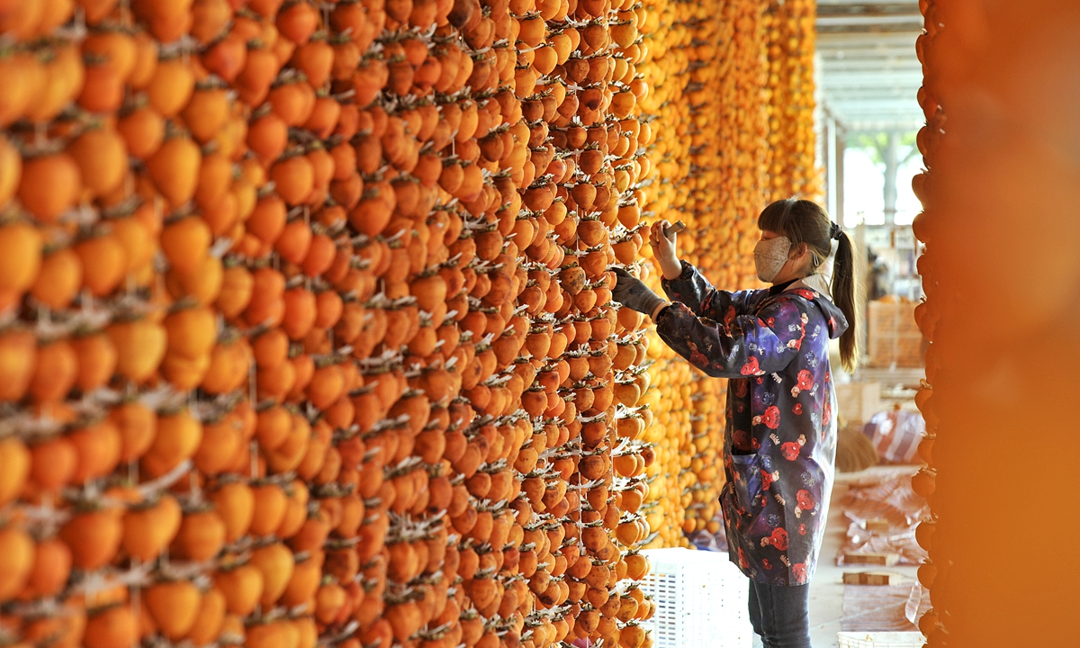 A worker inspects persimmons that are hung up to dry at a local cooperative specializing in dried persimmons in Yuncheng, North China's Shanxi Province on October 27, 2022. Persimmon has been identified by local officials as one of five top economic crops that play a key role in rural poverty alleviation. Photo: cnsphoto