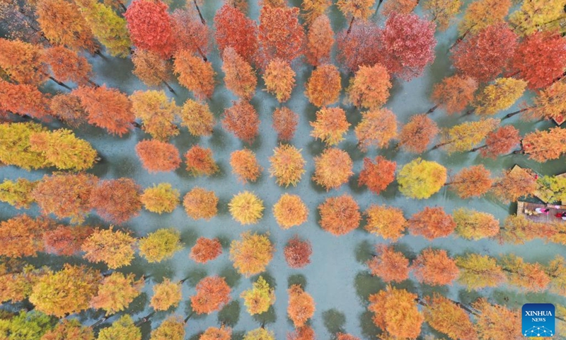 This aerial photo taken on Oct. 26, 2022 shows the autumn scenery of Hongze Lake Wetland Scenic Area in Sihong County, east China's Jiangsu Province.(Photo: Xinhua)
