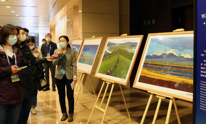 Journalists visit the Wetlands Photography Exhibition in Wuhan, central China's Hubei Province, Nov. 5, 2022. The 14th Meeting of the Conference of the Contracting Parties to the Ramsar Convention on Wetlands (COP14) kicked off Saturday in China's Wuhan and Switzerland's Geneva. Photo: Xinhua