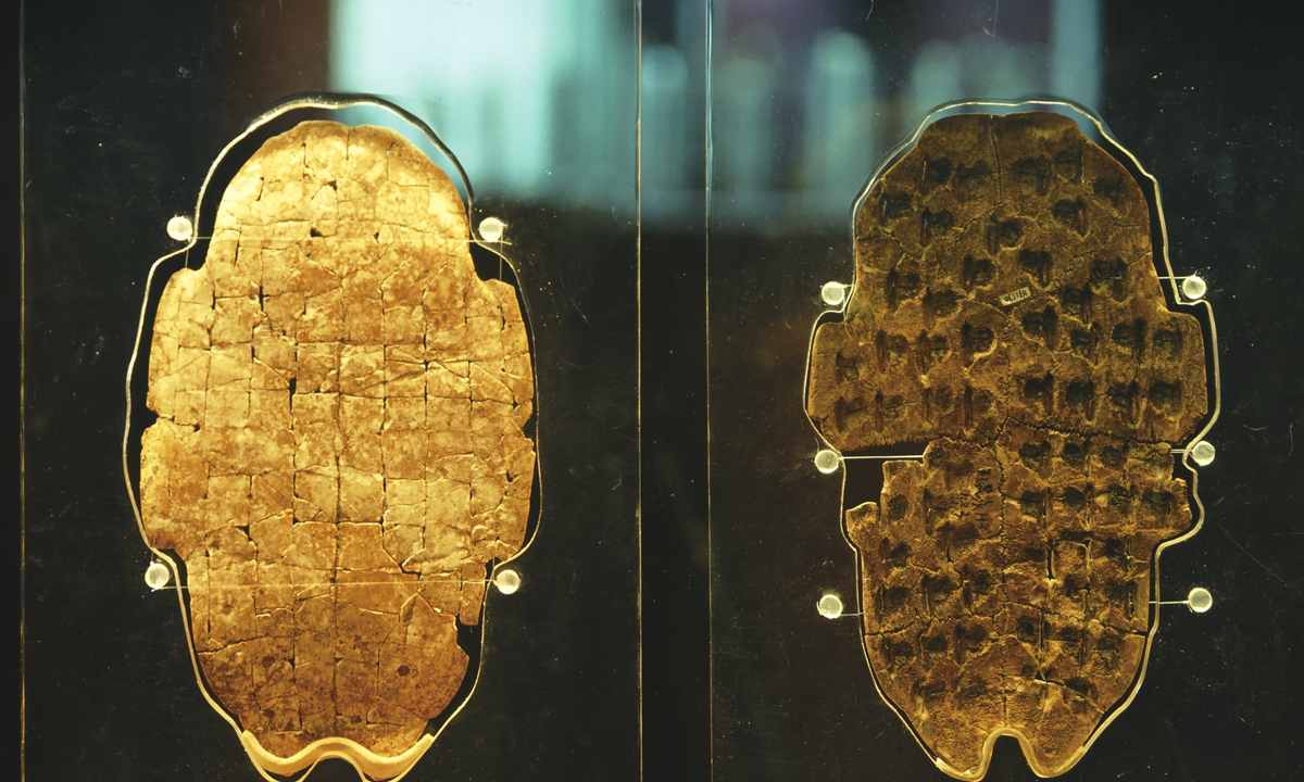 Shang Dynasty oracle bones with inscriptions of ancient Chinese characters Photo: VCG