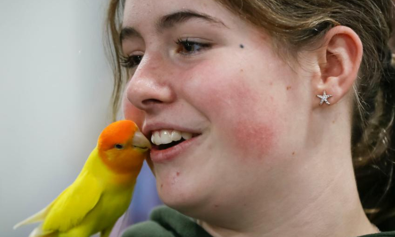 A girl interacts with a bird during the Pet Lover Show at Pacific Coliseum in Vancouver, British Columbia, Canada, on Nov. 6, 2022.  Photo: Xinhua