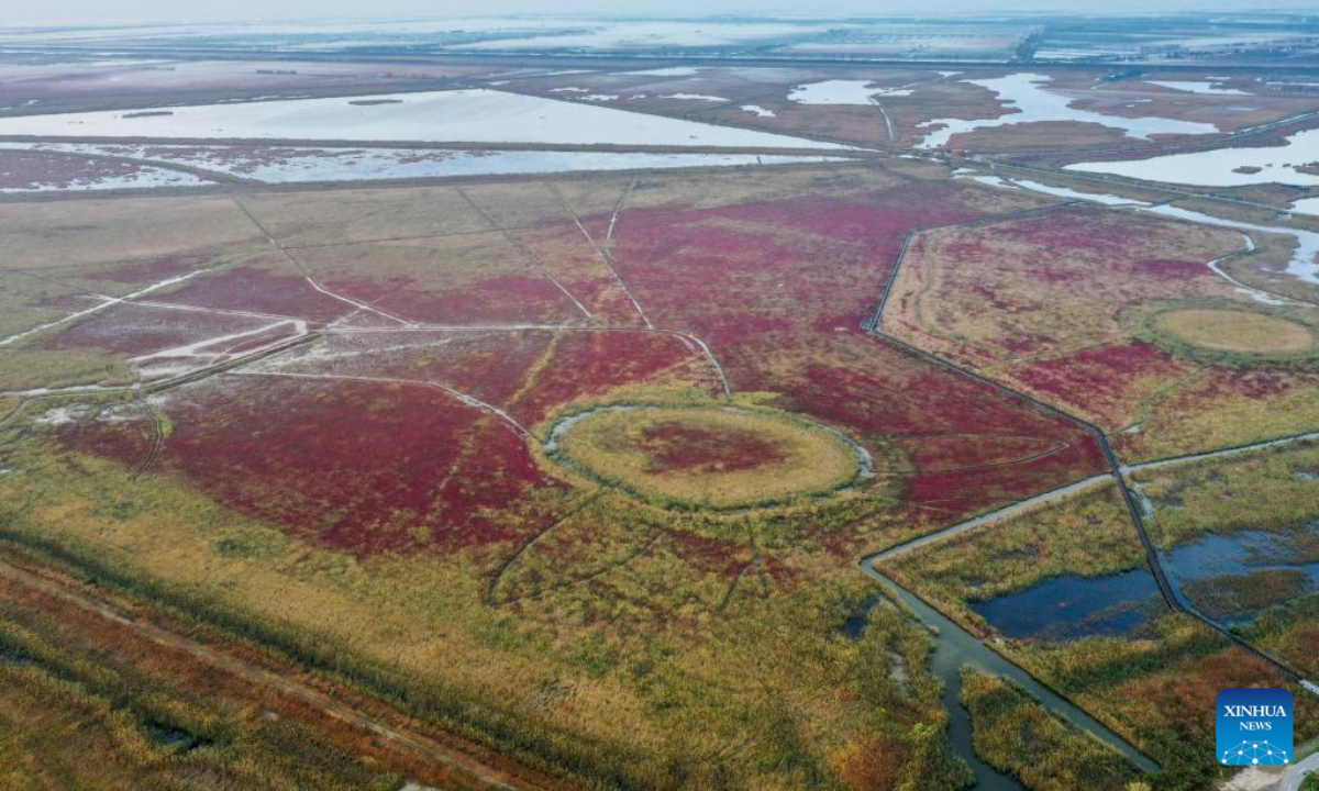 This aerial photo taken on Nov 8, 2022 shows the scenery at the Jiangsu Yancheng Wetland and Rare Birds National Nature Reserve in Yancheng, east China's Jiangsu Province. Yancheng City, having a coastline of 582 kilometers and 769,700 hectares of wetlands, is a vital wintering ground for birds. Photo:Xinhua