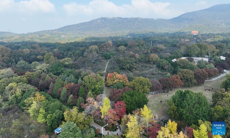 This aerial photo taken on Nov. 1, 2022 shows a view of the Nanjing Zhongshan Mountain National Park in Nanjing, east China's Jiangsu Province.(Photo: Xinhua)