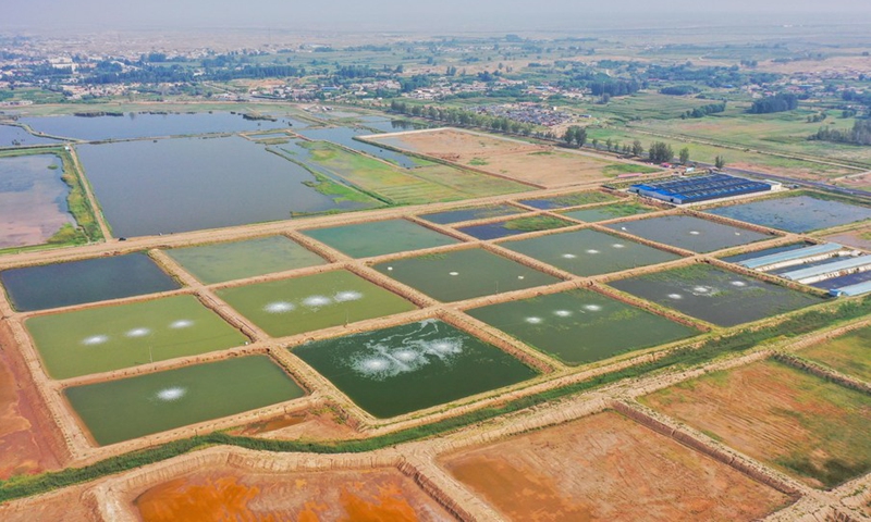 This aerial photo taken on Aug. 25, 2022 shows a general view of shrimp ponds in north China's Inner Mongolia Autonomous Region.(Photo: Xinhua)