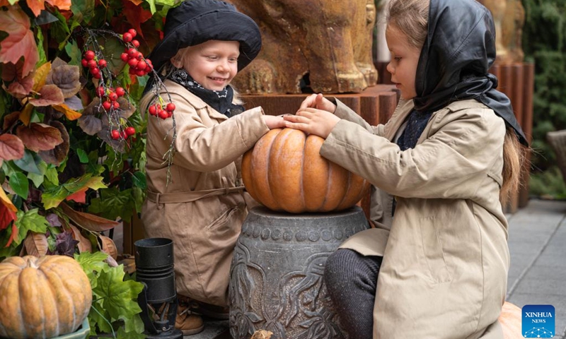 Kids play by the pumpkin decorations on a street in Vladivostok, Russia, Oct. 31, 2022.(Photo: Xinhua)