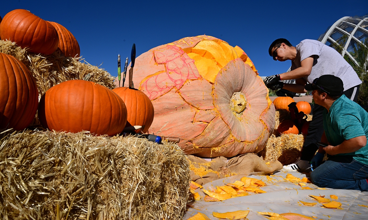 Howie, the largest pumpkin on record grown in the US state of Colorado, is being carved at the Denver Botanic Gardens in Denver, Colorado, the US on Halloween day, October 31, 2022. The pumpkin weighing in at 1,783 pounds (808.7 kilograms) was grown in Parker, Colorado by Chad New, a pet store owner. Photo: VCG