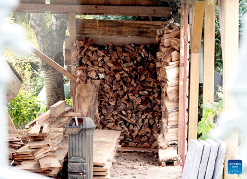 Firewood is stored outside a house in Berlin, capital of Germany, Nov. 1, 2022. Responding to rising energy prices, some residents in Berlin have started to store firewood for the upcoming winter.(Photo: Xinhua)