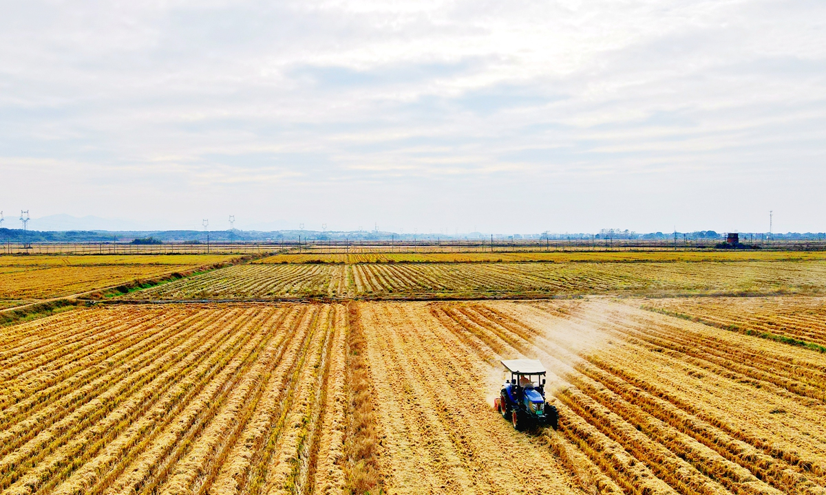 A tractor plows stubble in a field to prepare for sowing canola seeds in Nanchang, East China's Jiangxi Province on November 6, 2022, one day before the Beginning of Winter according to China's 24 Solar Terms. Photo: cnsphotos 