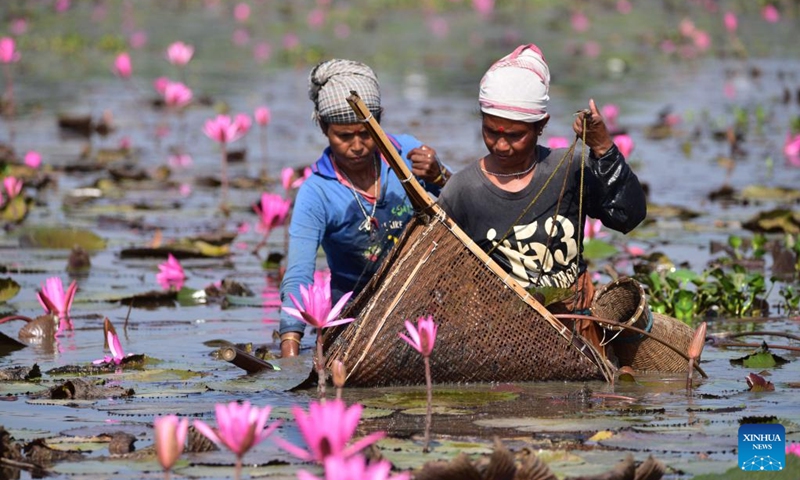Women catch fish amid blooming water lily flowers in a lake at a village in Morigaon district of India's northeastern state of Assam, Nov. 6, 2022. (Str/Xinhua)