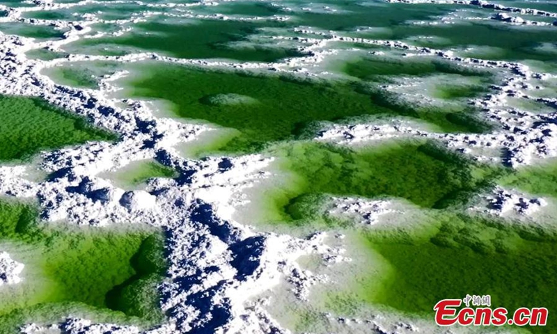 Emerald green water ripples on the crispy white lakebed and the shimmering salt crystals of the shores in Qarhan Salt Lake in Haixi Mongolian and Tibetan Autonomous Prefecture, northwest China's Qinghai Province.(Photo: China News Service/Bao Lei)