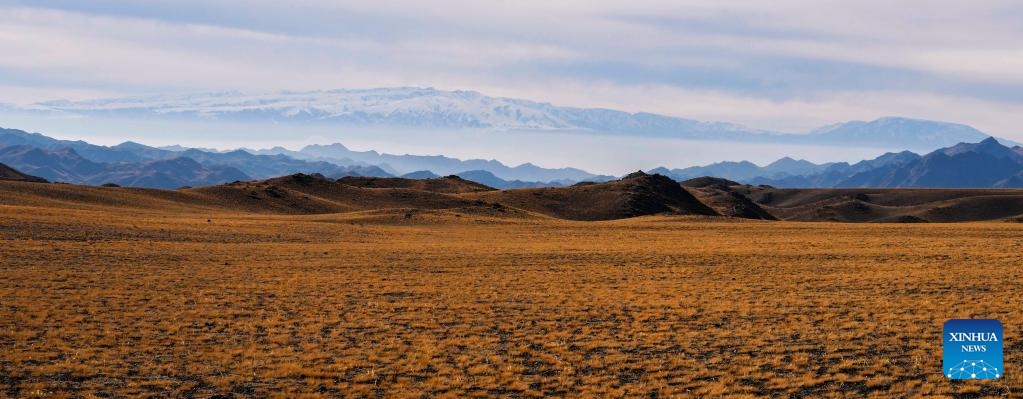 This photo taken on Nov. 4, 2022 shows a view of a winter pasture in the Barlik Mountain area in Yumin County, northwest China's Xinjiang Uygur Autonomous Region. Photo: Xinhua