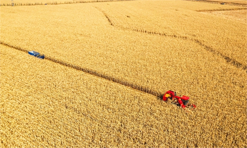 China aumenta importações de milho e outros produtos agrícolas do Brasil