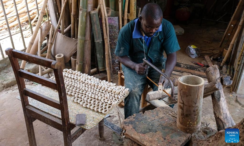 A staff member of the Uganda Bamboo Association cuts bamboo in a workshop in Kampala, Uganda, Oct. 26, 2022. The Uganda Bamboo Association brings related organizations and community members together to share information, resources and technology in growing and adding value to bamboo. The association organizes demonstrations for members on how to plant bamboo and also sensitizes them about the economic benefits of the plant.(Photo: Xinhua)