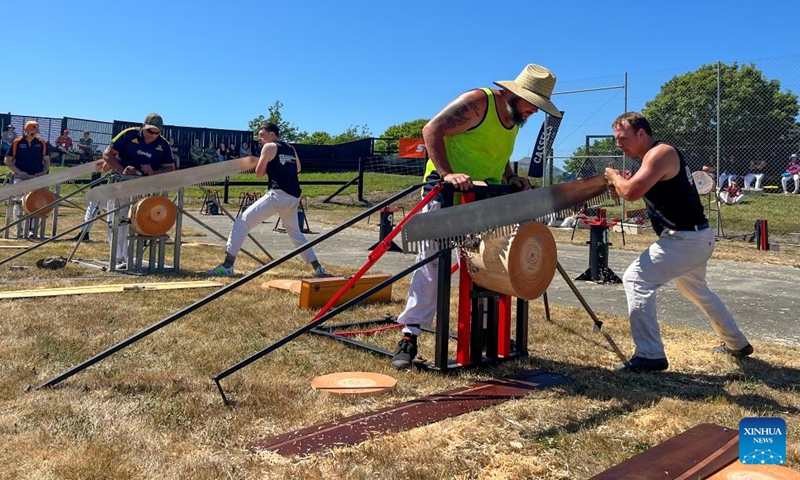 People take part in a wood-cutting competition during the Canterbury Agricultural Show in Christchurch, New Zealand, Nov. 9, 2022. One of the oldest expos in New Zealand, the Canterbury Agricultural Show, threw its gates open to the public on Wednesday in the New Zealand's Christchurch. (Photo by Walter/Xinhua)