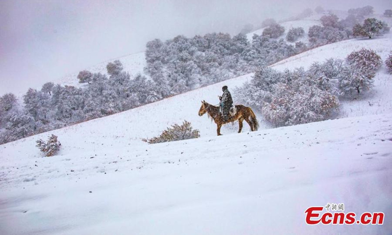 A herder braves heave snow at the Nalati Apricot Valley in Ili Kazak autonomous prefecture, Northwest China’s Xinjiang Uyghur Autonomous Region, Nov. 9, 2022. Nalati Apricot Valley embraced first snow of this winter on Wednesday. (Photo: China News Service/Yang Xiaoqian) 


