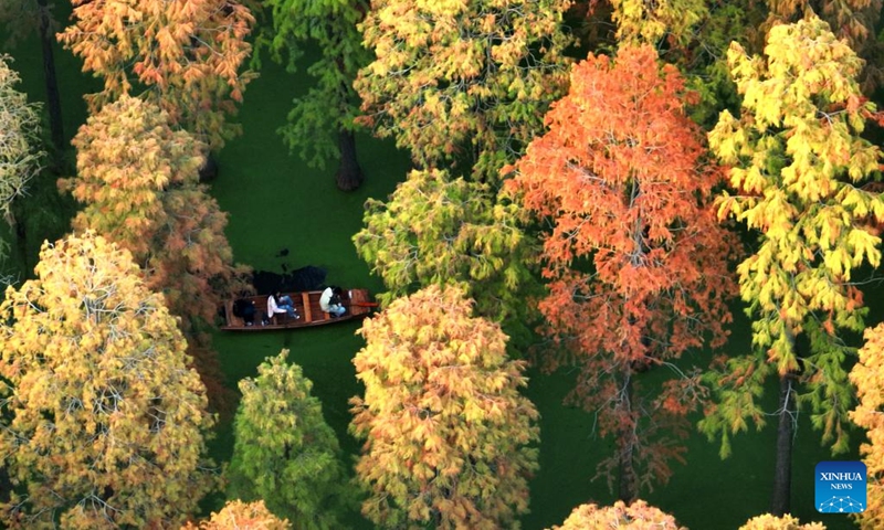 This aerial photo taken on Nov. 9, 2022 shows visitors taking a boat at a metasequoia forest in Luyang Lake wetland park in Yangzhou, east China's Jiangsu Province. (Photo by Meng Delong/Xinhua)