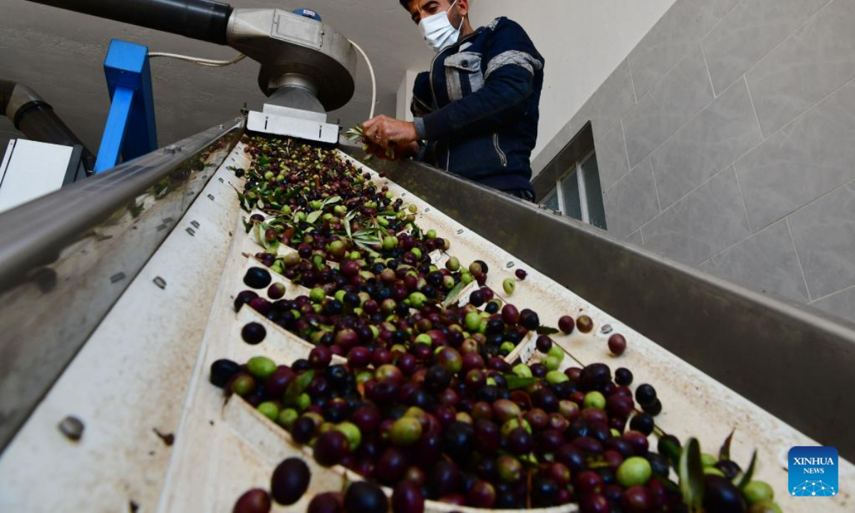 A worker operates a machine to produce olive oil at an oil factory in Hama, Syria, Nov 17, 2022. Photo:Xinhua