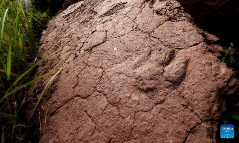 Fossils with raised dinosaur footprints are pictured in Shanghang County, Longyan City of southeast China's Fujian Province, Oct. 15, 2022. (Xinhua)