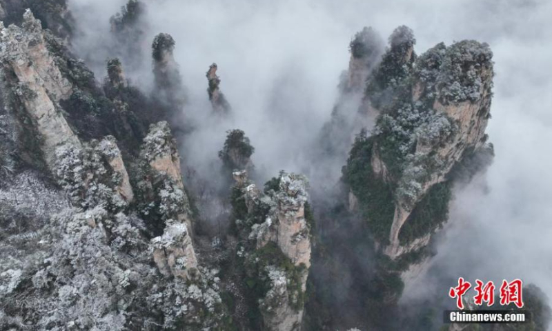 Rime covered Avatar mountain peaks are hidden in a sea of clouds at Tianzishan Scenic Area of Zhangjiajie, central China's Hunan Province, Jan. 1, 2023. (Photo: China News Service/Zhang Hongtao)