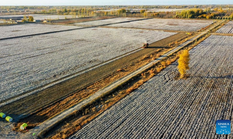 This aerial photo taken on Nov. 10, 2022 shows a cotton picker at work in Xayar County, northwest China's Xinjiang Uygur Autonomous Region. The cotton harvest is drawing to an end in Xayar County, a premium-quality cotton production base of China. As of Friday, 1.706 million mu (about 113,733 hectares) of cotton has been harvested here. (Photo by Liu Yuzhu/Xinhua)