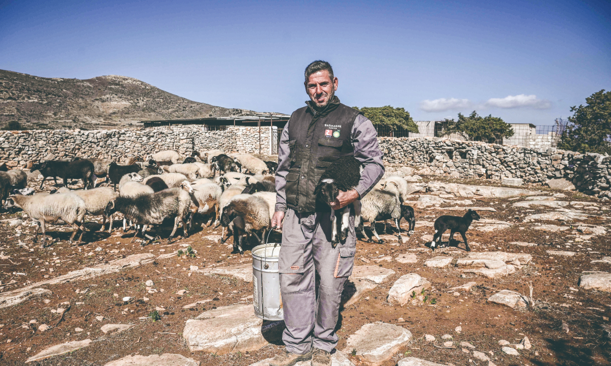 Shepherd Yannis Vavoulas at his farm on the Aegean island of Naxos, Greece, on November 11, 2022. Photo: VCG