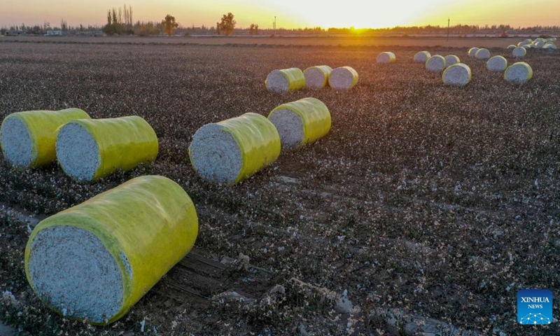 This aerial photo taken on Nov. 10, 2022 shows bales of harvested cotton in Xayar County, northwest China's Xinjiang Uygur Autonomous Region. The cotton harvest is drawing to an end in Xayar County, a premium-quality cotton production base of China. As of Friday, 1.706 million mu (about 113,733 hectares) of cotton has been harvested here. (Photo by Liu Yuzhu/Xinhua)