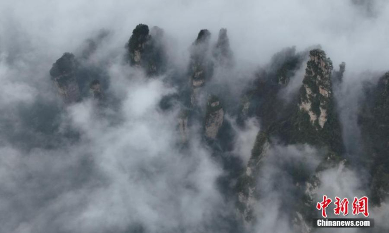 Rime covered Avatar mountain peaks are hidden in a sea of clouds at Tianzishan Scenic Area of Zhangjiajie, central China's Hunan Province, Jan. 1, 2023. (Photo: China News Service/Zhang Hongtao)