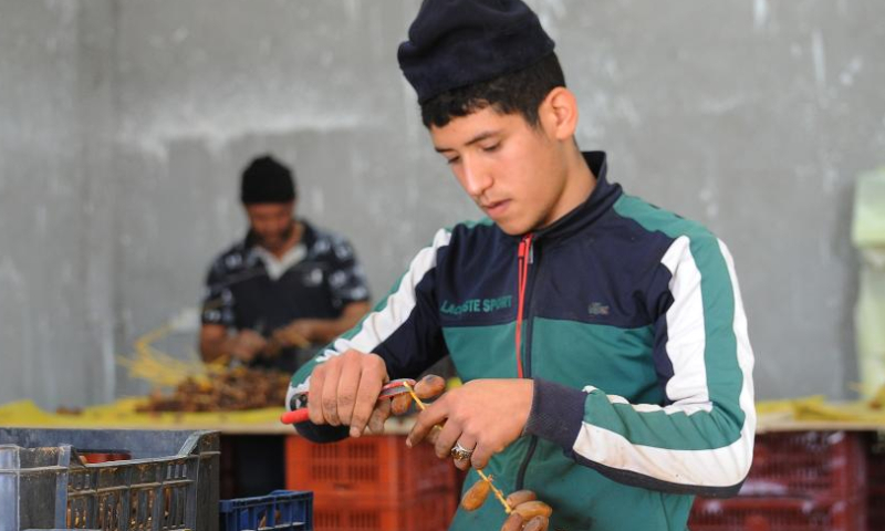Farmers sort dates in Biskra Province, Algeria, on Nov. 13, 2022. Photo: Xinhua