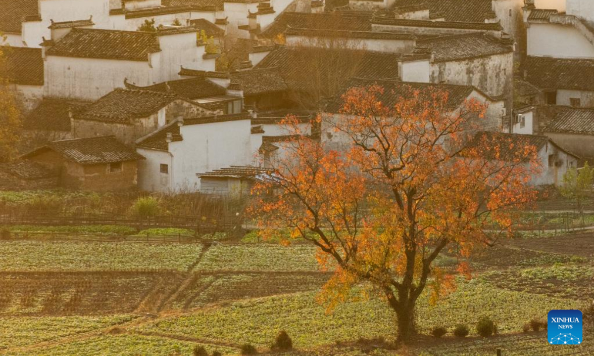 This photo taken on Nov 24, 2022 shows the scenery in Lucun Village of Yixian County in Huangshan City, east China's Anhui Province. Photo:Xinhua