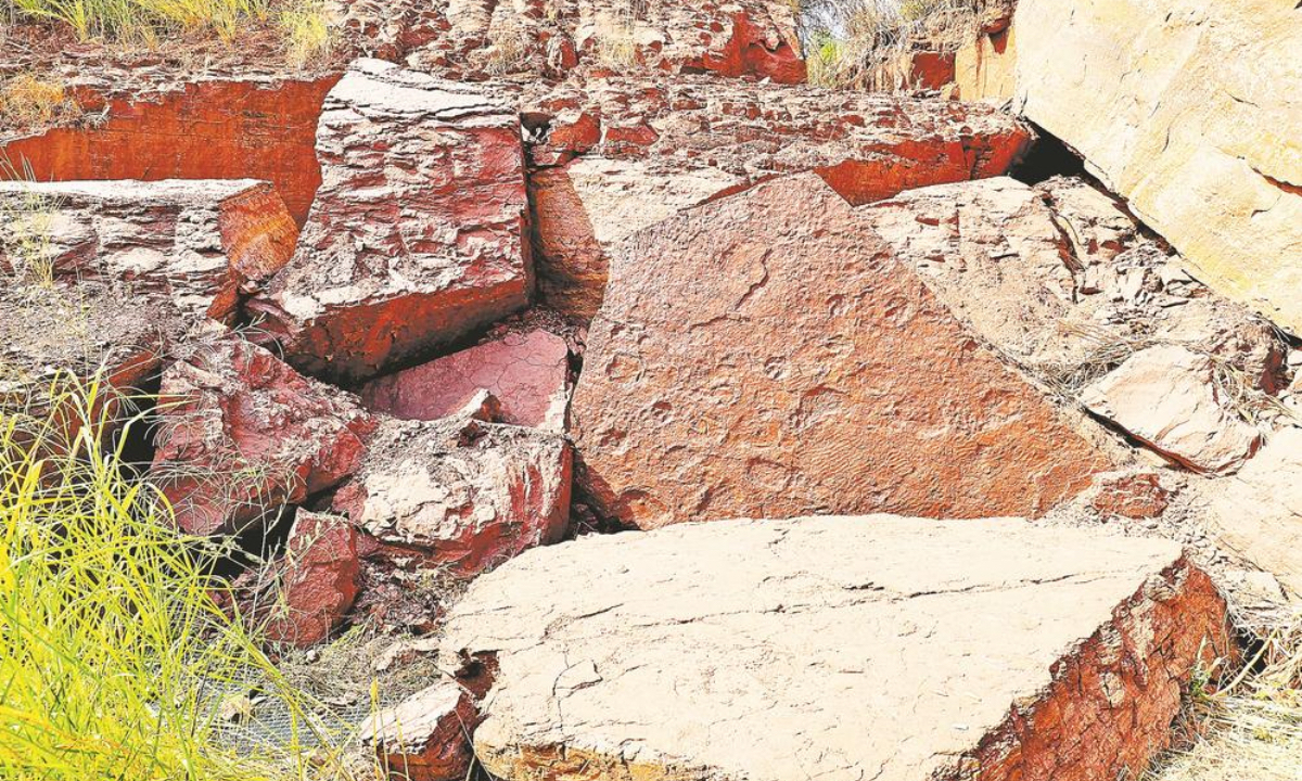 Large-area dinosaur footprints from Late Cretaceous have been discovered in Shanghang county in E China's Fujian Province. Photo: A screenshot from Fujian Daily 