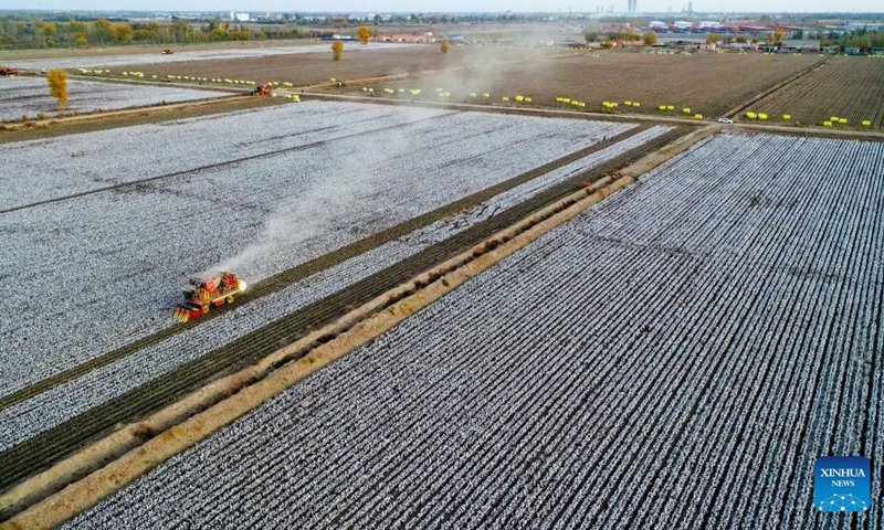 This aerial photo taken on Nov. 10, 2022 shows a cotton picker at work in Xayar County, northwest China's Xinjiang Uygur Autonomous Region. The cotton harvest is drawing to an end in Xayar County, a premium-quality cotton production base of China. As of Friday, 1.706 million mu (about 113,733 hectares) of cotton has been harvested here. (Photo by Liu Yuzhu/Xinhua)