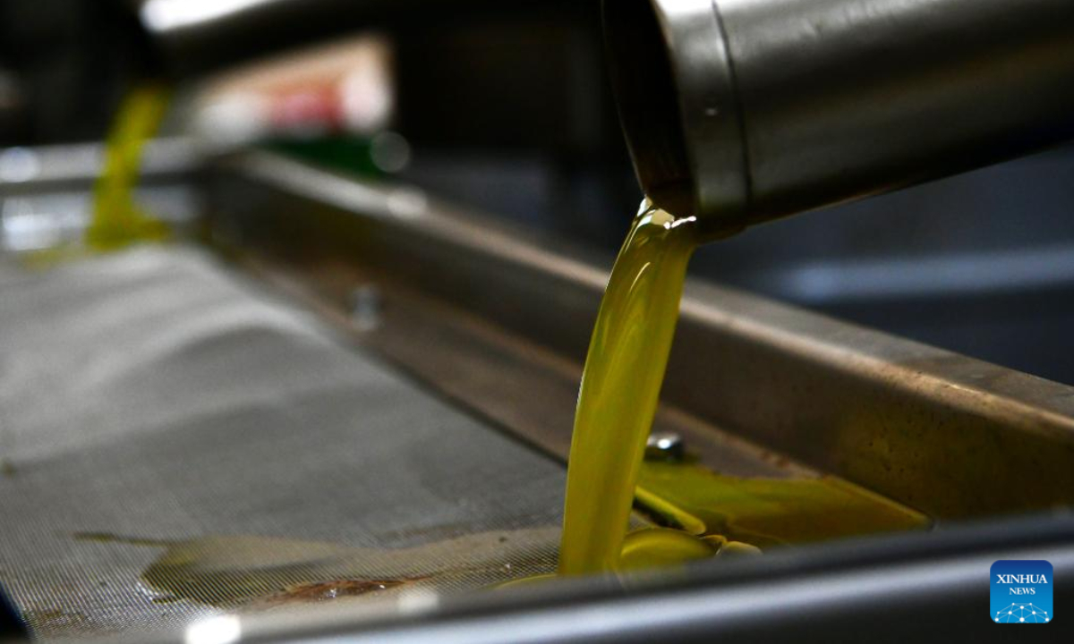 Olive oil flows out of pipes at an oil factory in Hama, Syria, Nov 17, 2022. Photo:Xinhua