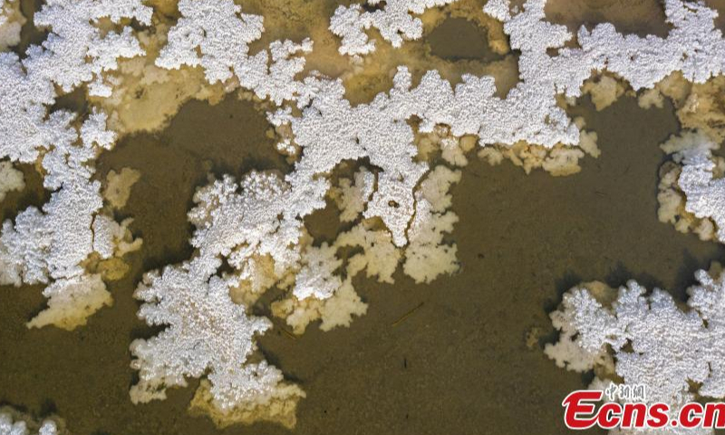 Salt crystals form on the Salt Lake in Yuncheng City, north China's Shanxi Province, Dec. 12, 2022. (Photo/VCG)

Mirabilite rime is formed when mirabilite crystalizes at a low temperature. The Salt Lake of Yuncheng, a typical inland saltwater lake, is the world's third largest sodium sulphate inland lake. Due to its high saltness, it is also called the Dead Sea of China.
