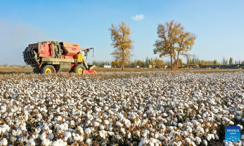 A cotton picker is at work in Xayar County, northwest China's Xinjiang Uygur Autonomous Region, Nov. 10, 2022. The cotton harvest is drawing to an end in Xayar County, a premium-quality cotton production base of China. As of Friday, 1.706 million mu (about 113,733 hectares) of cotton has been harvested here. (Photo by Liu Yuzhu/Xinhua)