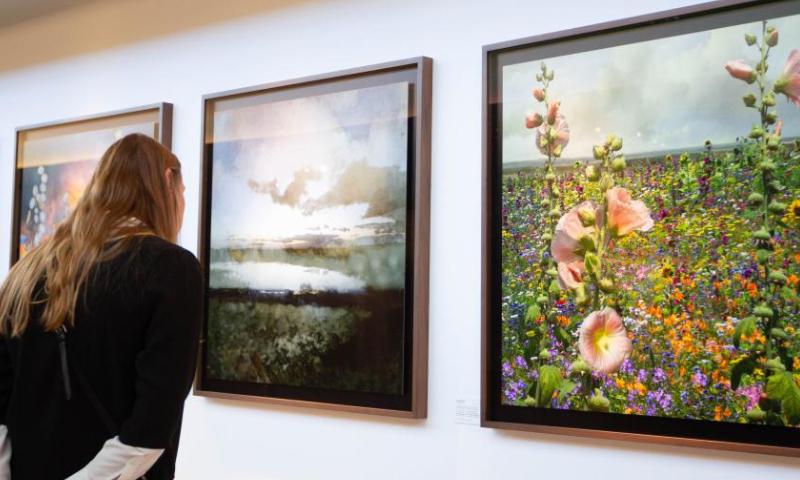 A visitor views artwork during a press preview of the 35th PAN Amsterdam at RAI convention center in Amsterdam, the Netherlands, Nov. 19, 2022. The 35th PAN Amsterdam is scheduled to be held from Nov. 20 to 27. (Photo by Sylvia Lederer/Xinhua)