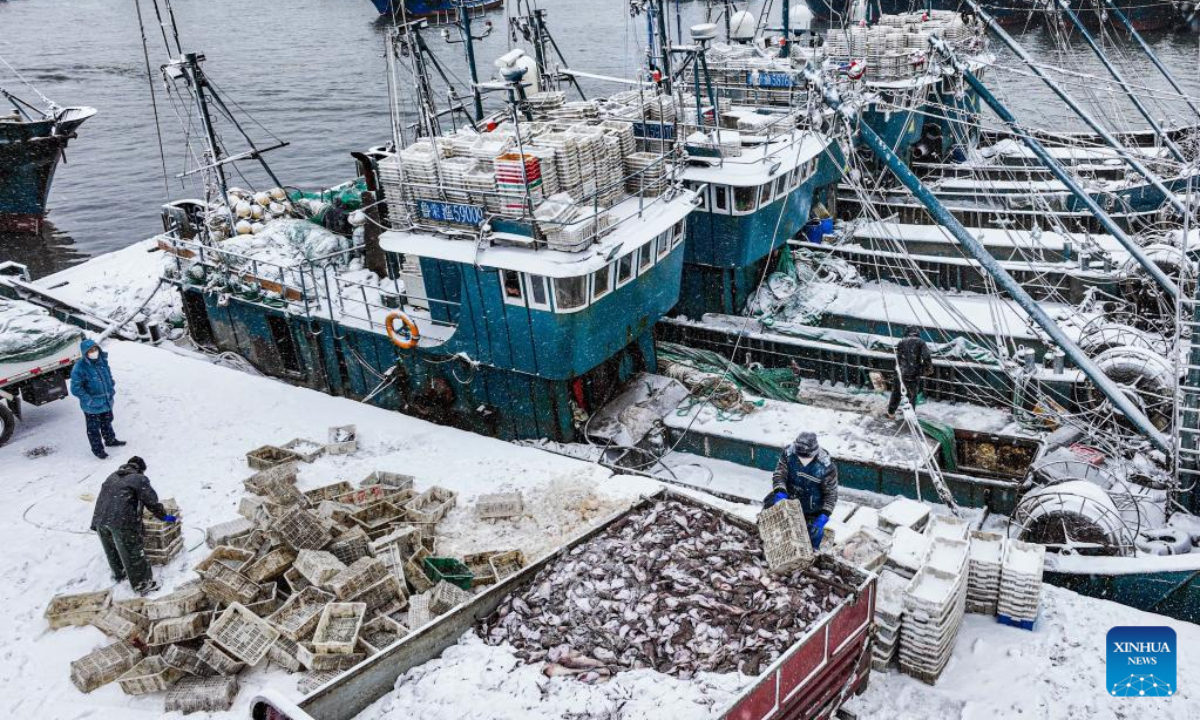 Fishermen unload their catch in the snow at Shidao fishing port in Rongcheng, east China's Shandong Province. on Dec 22, 2022. Photo:Xinhua