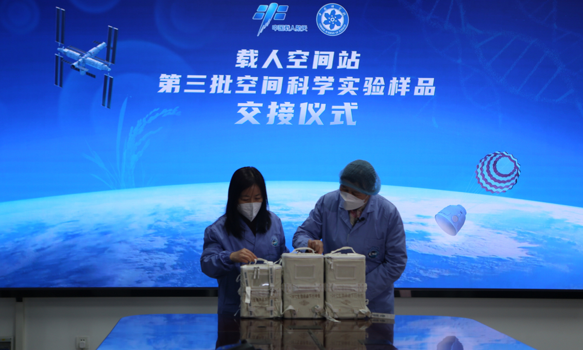 The third batch of space science experiment samples, including the world's first rice seedlings harvested in space, arrives with Shenzhou-14's return capsule on December 4, 2022. Photo: The Chinese Academy of Sciences