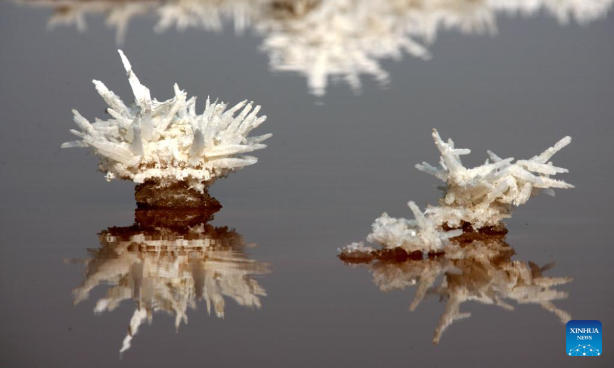 This photo taken on Dec 8, 2022 shows