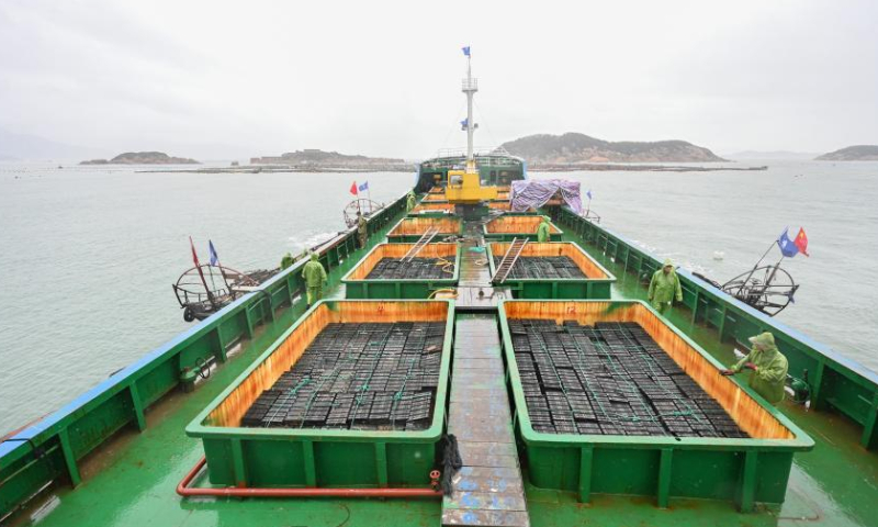 This aerial photo taken on Nov. 25, 2022 shows a transport vessel carring abalones on the waters of Lianjiang County, southeast China's Fujian Province. Abalone breeding is one of the pillar industries in Lianjiang County. As abalones have very strict requirements on their growing environment, especially the water temperature, fishermen in Lianjiang have adopted a way of breeding in different sea areas to improve the survival rate of abalones.
Every year at the turn of spring and summer in April and May, abalones are sent to the northern sea area, where the water is cooler, to spend the summer, and then come back to Lianjiang when late autumn comes. In this way, not only is the yield of abalones increased, but also the quality is improved. (Xinhua/Zhou Yi)