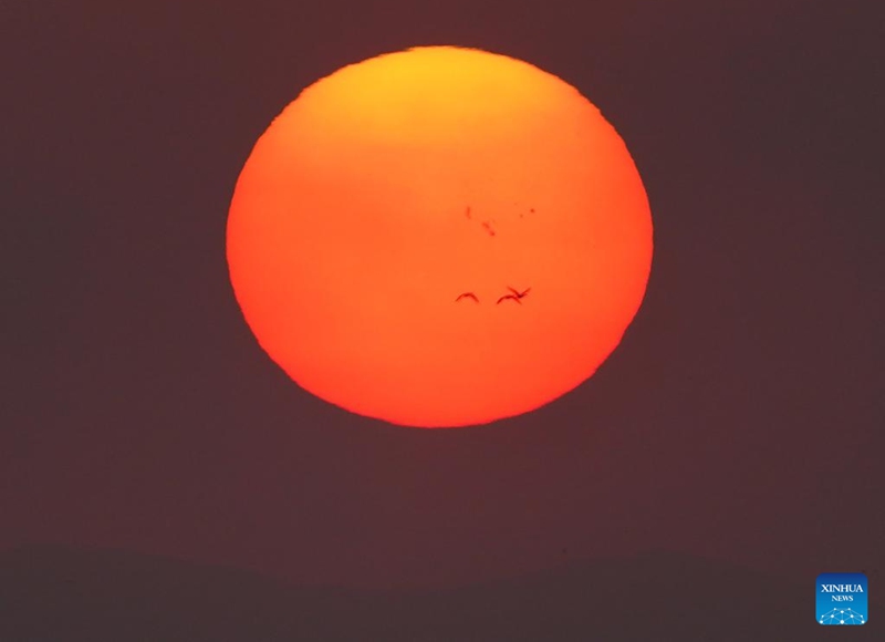 Migrant birds fly over the Poyang Lake Nanji national wetland reserve in east China's Jiangxi Province, Nov. 11, 2022. The first batch of migrant birds have arrived at Poyang Lake, the largest fresh-water lake in China, to spend their winter time. (Xinhua/Wan Xiang)