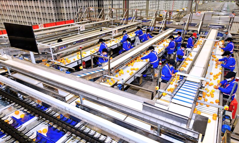 Workers check fresh navel oranges for shipment on an intelligent sorting and packaging line in Ganzhou, East China’s Jiangxi Province, on November 28, 2022. Ganzhou’s navel orange production is expected to reach 1.5 million tons this year, and many local farmers have increased their incomes by growing oranges. Photo: VCG