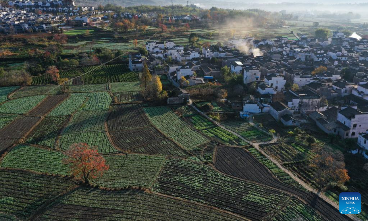 This aerial photo taken on Nov 24, 2022 shows the scenery in Lucun Village of Yixian County in Huangshan City, east China's Anhui Province. Photo:Xinhua