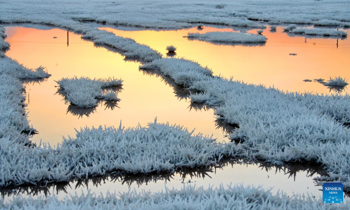 This photo taken on Dec 8, 2022 shows