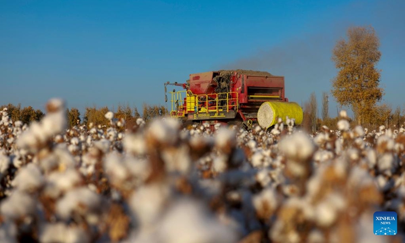 A cotton picker is at work in Xayar County, northwest China's Xinjiang Uygur Autonomous Region, Nov. 10, 2022. The cotton harvest is drawing to an end in Xayar County, a premium-quality cotton production base of China. As of Friday, 1.706 million mu (about 113,733 hectares) of cotton has been harvested here. (Photo by Liu Yuzhu/Xinhua)