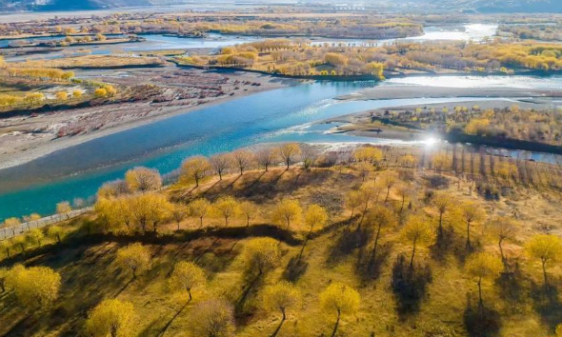 2022 年 11 月 19 日，中国西南部西藏自治区林芝的雅尼国家湿地公园冬日美景。（摄影：中新社/董志雄）